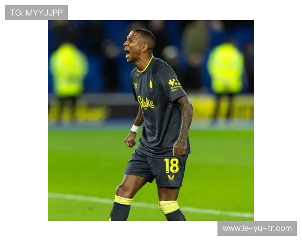 阿什利·扬英伦老将再掀绿茵焦点