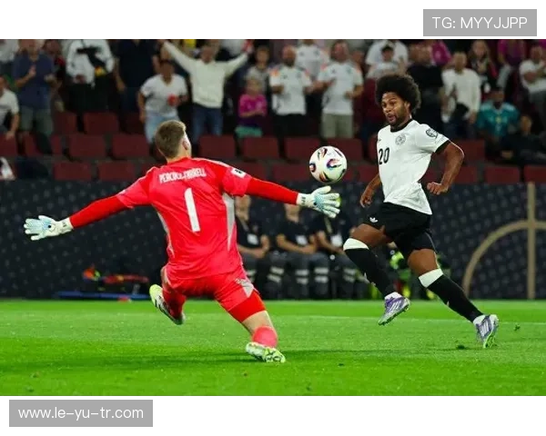 格纳布里国家队前景引热议：未来能否成为德国队核心？